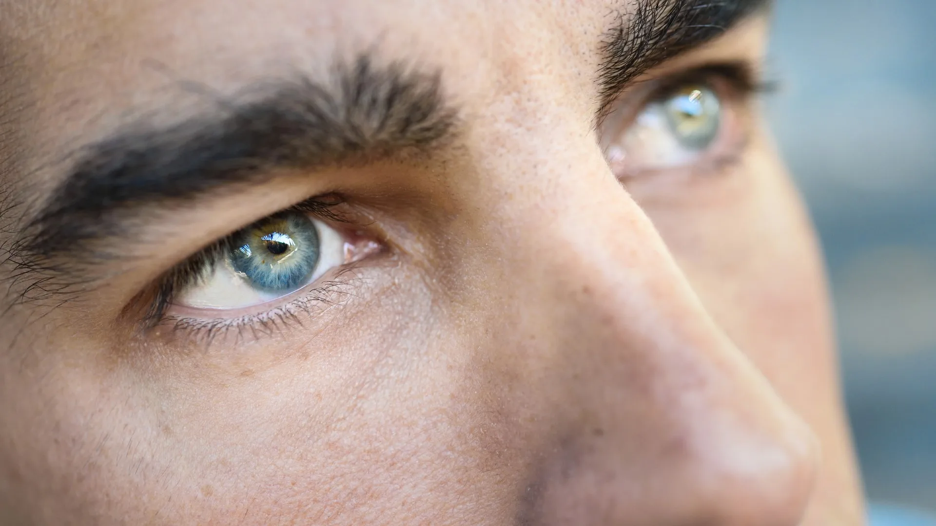 Trasplante de cejas